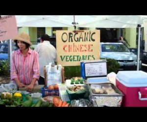 Farmer's Market @ Third Street South 