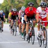 A Peloton of Cyclysts on their Sunday Ride A Peloton of Cyclysts on their Sunday Ride