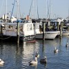 Wordless Friday..... Here's Looking at You, Kid - Sharing my photos of Naples FL Wordless Friday..... Here's Looking at You, Kid - Sharing my photos of Naples FL