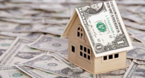 Wood house with dollar bill roof