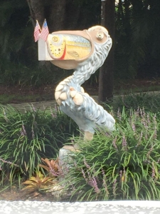Pelican Holding Mailbox in Mouth